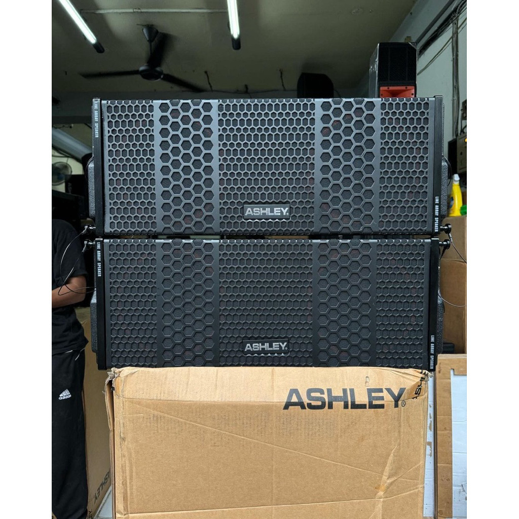 Line Array Ashley Tw 210 LA Original