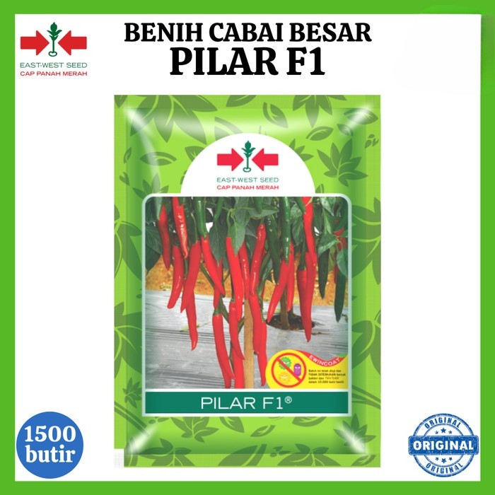 Benih Cabai Besar PILAR F1 1500 Biji - Bibit Cabe Cap Panah Merah