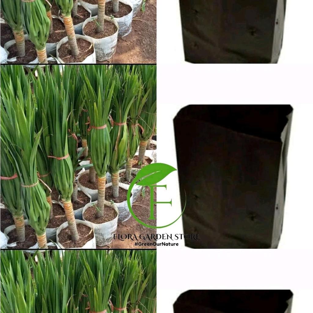 Pohon Artificial Pandan Bali - Artificial Pandan bali TANAMAN