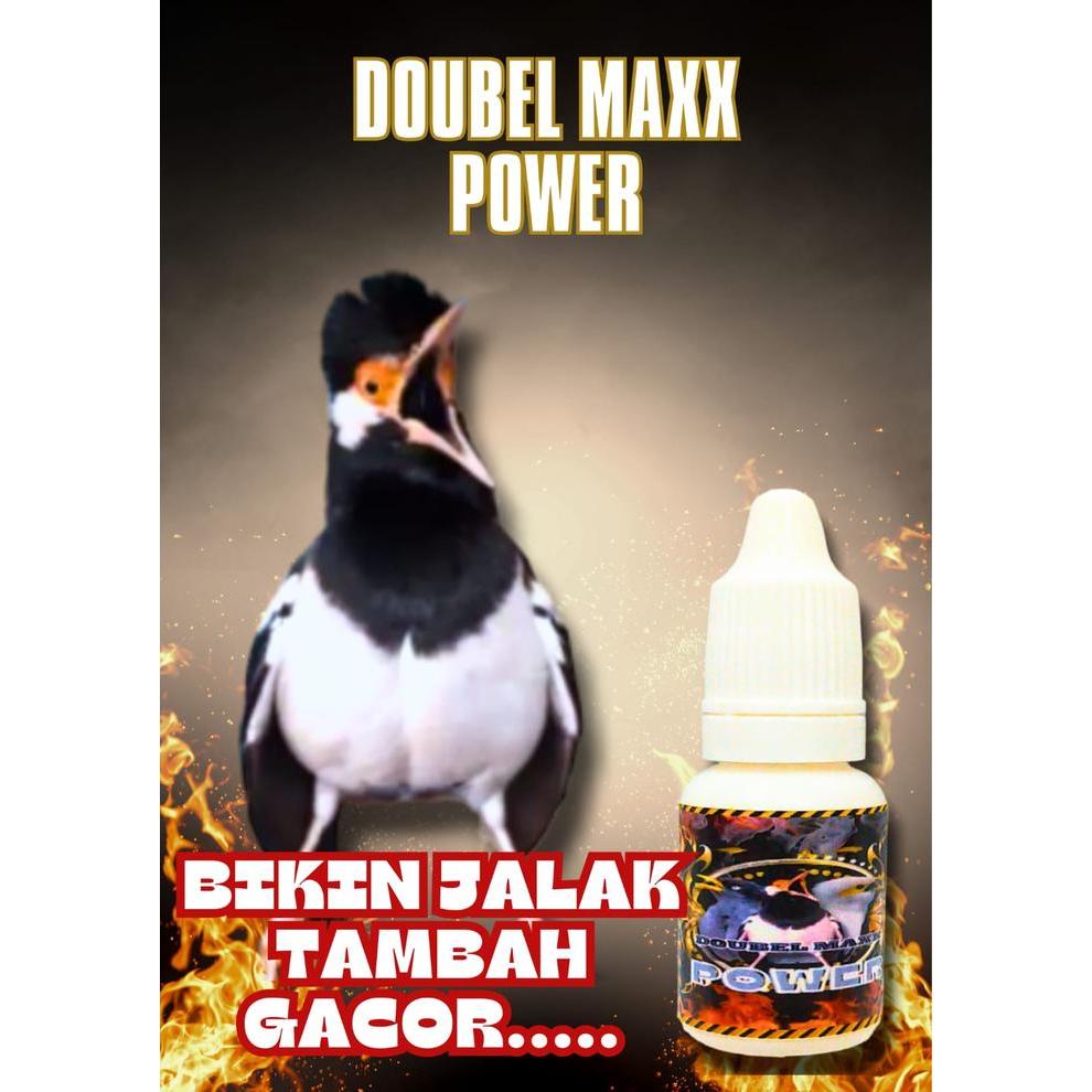 DOUBEL MAXX POWER PENGGACOR BURUNG JALAK