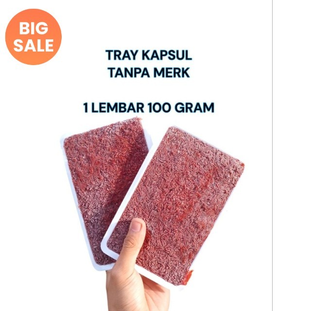 Cacing beku kapsul tray tanpa merk 100 gram / cacing beku / cacing beku tray / cacing beku kapsul / 