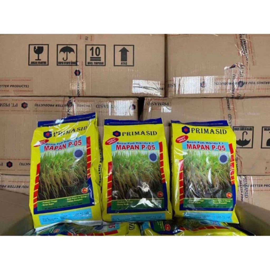 (BISA COD) BENIH PADI MAPAN P05 ORIGINAL||BENIH PADI HIBRIDA MAPAN