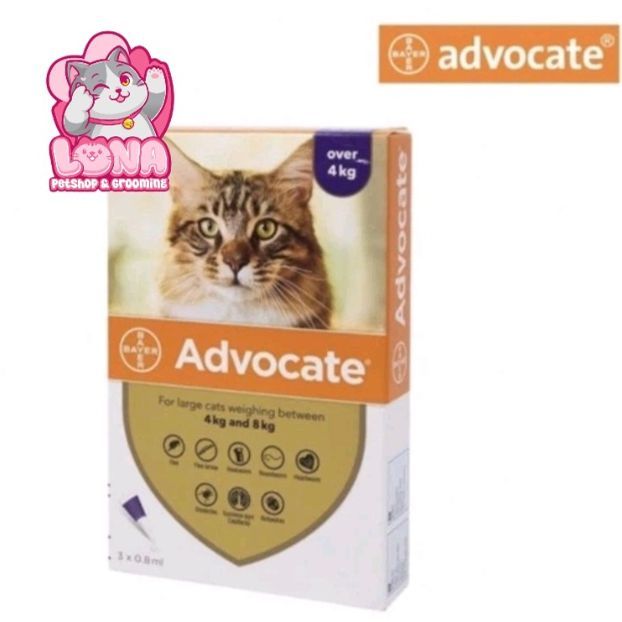 Advocate Large Cat (L) (1tube)