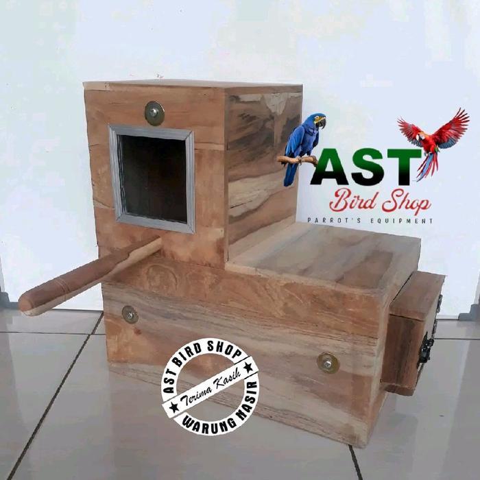 Glodok untuk burung nuri L penempatan kanan