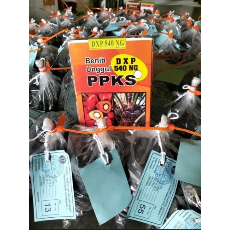 Bibit sawit unggul jaya PPKS 540 (ISI 150 BUTIR) PELEPAH PENDEK