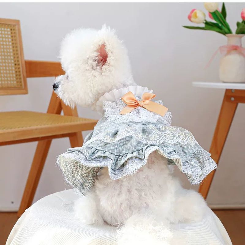 [TamanPet] Saus beras asin gaun renda gaun anjing gaun teddy bear gaun putri hijau muda mode.