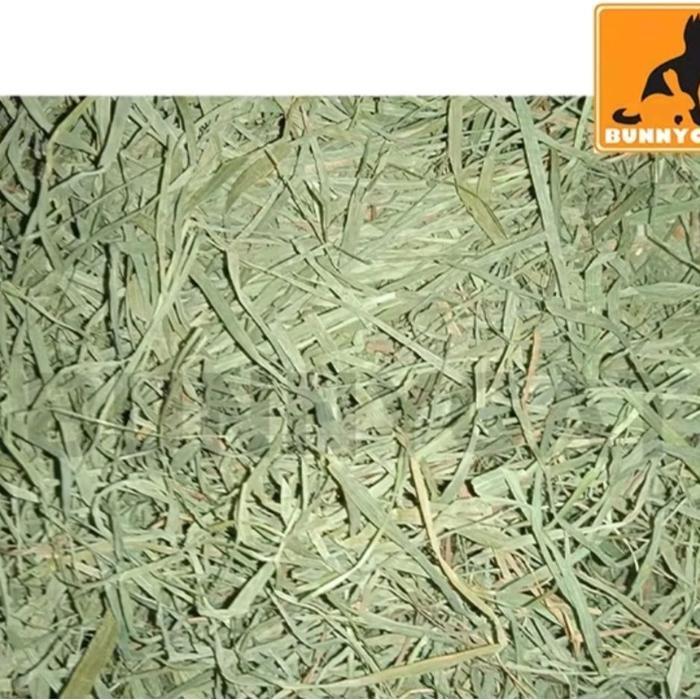 Promo TIMOTHY HAY 1 kg - Rumput Hay Kelinci 1st 1kg - SECOND CUT Terlaris