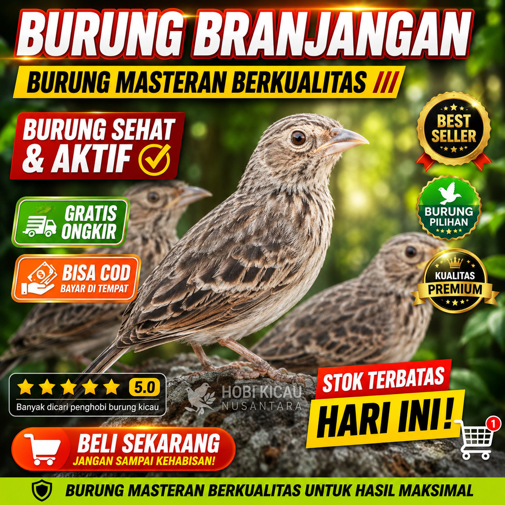 Branjangan  lokal Bahan Pilihan