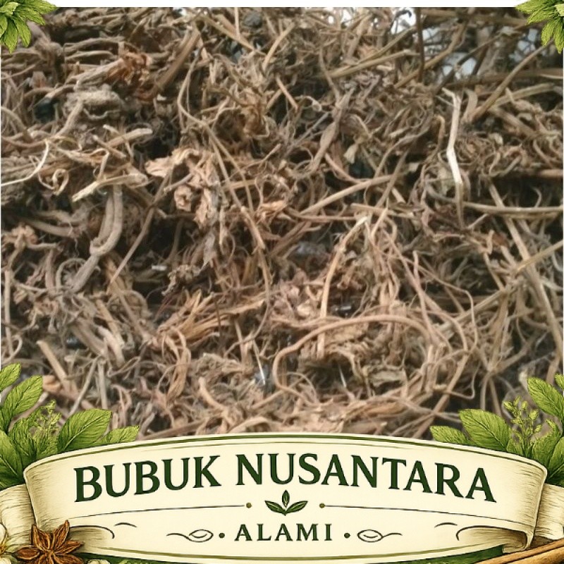 Herbal Akar Purwoceng Kering Asli 100gr