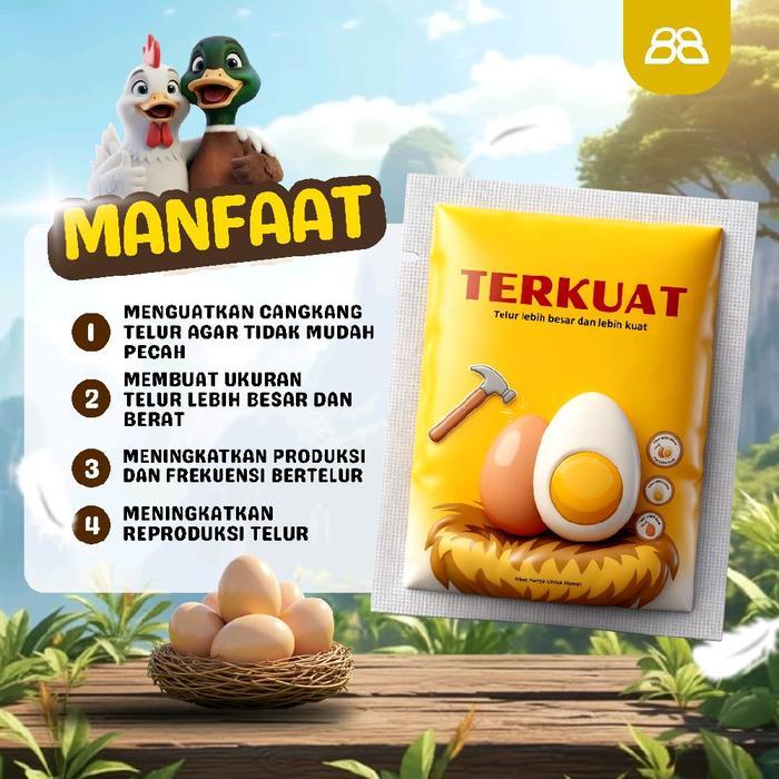 Ready Paket Bundling Vitamin Bebek Petelur dan penguat Cangkang Telur