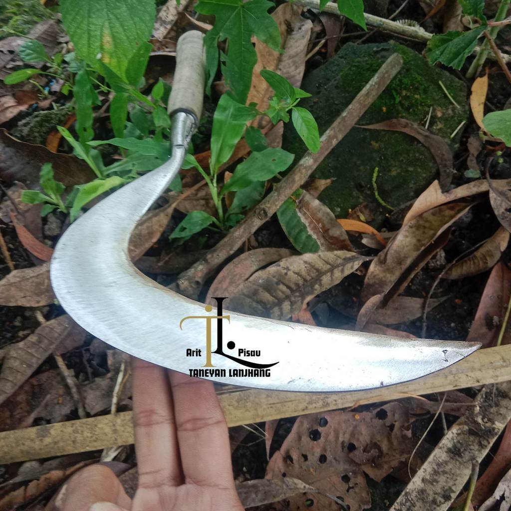 Arit Baja Merah Super Tajam Ukuran 43 Cm/Sabit Rumput Full Baja/Sabit Asli Madura/Sabit Rumput Super