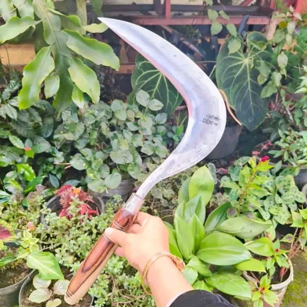 Arit Dewi jawa Bintang Cikajang Kuat
