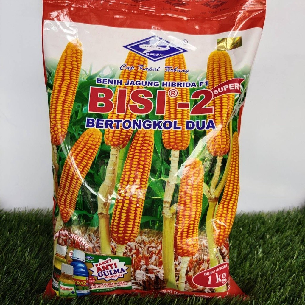 Benih Jagung Super Hibrida BISI 2 Bertongkol 2