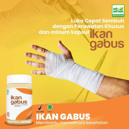 Ikan Gabus / KUtuk / Fish Cork /  Channa Striata