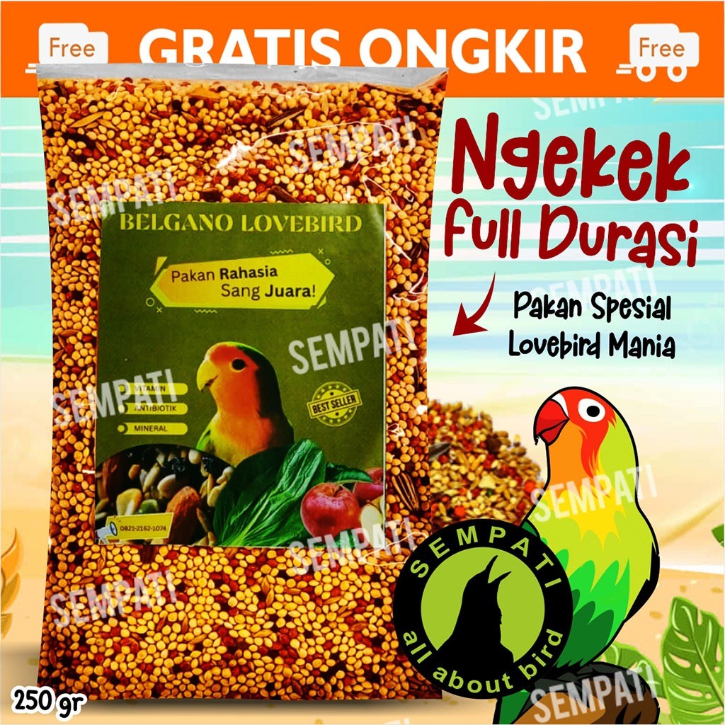 SEMPATI Belgano Lovebird Pakan Harian Lomba Burung Lovebird Love Bird Lb Parkit Kenari Finch Small P