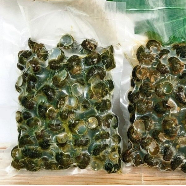 Tutut Ungkeb Frozen 500gr