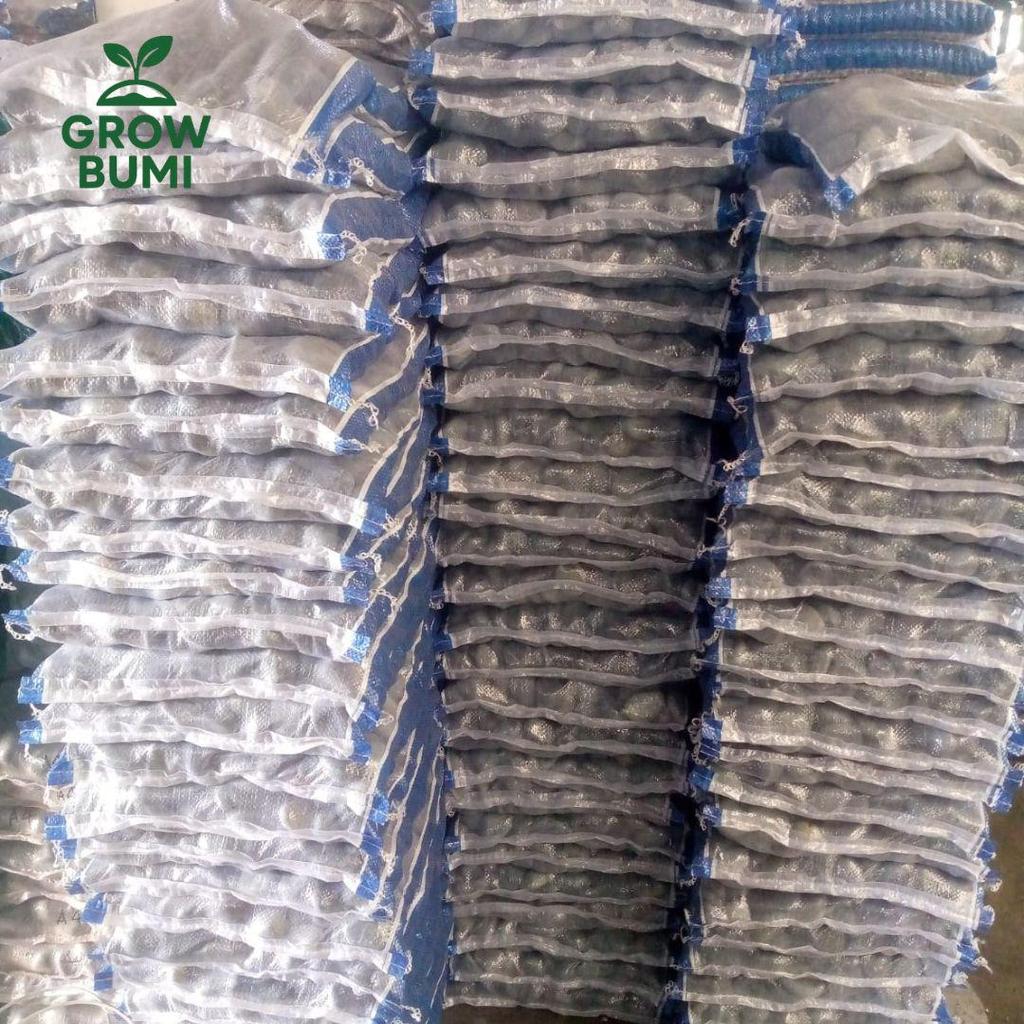 Batu Alam Koral Bengkulu  kemasan karung -+12kg untuk Dekorasi Taman Kafe Pot Bunga Kolam Ikan Aquar