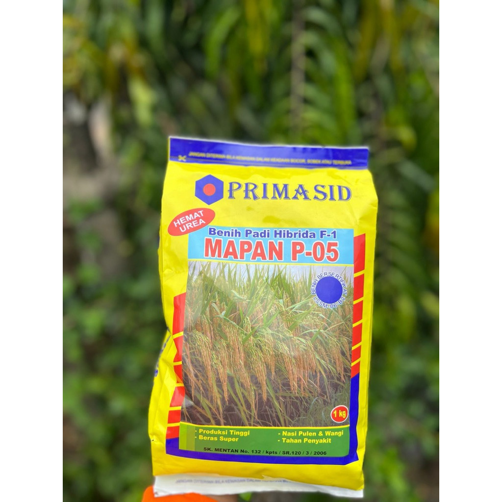 Padimapan P05 Original Benih Padi Mapan Asli Exp2026
