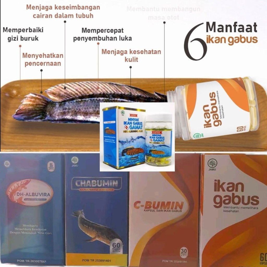 Ikan Gabus / Kutuk / Channa Striata Ekstrak Dan Oil 30 Dan 60 Kapsul Menjaga Keseimbangan Cairan Tub