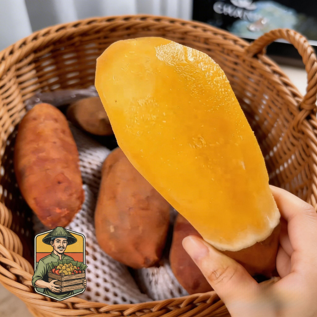 KMT - Ubi Yakon Viral Asli Wonosobo 500gr & 1kg Dieng, Menu Diet Sehat, Umbi Yacon Kuning Original