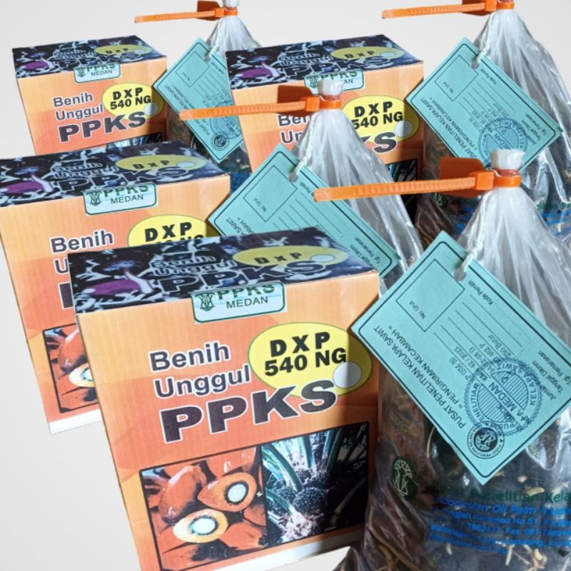 Bibit sawit DXP PPKS 540 - PELEPAH PENDEK BUAH BESAR