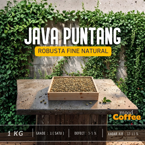 Robusta Puntang Fine Natural biji kopi mentah | 1Kg Green Bean