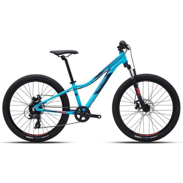 Sepeda Gunung Anak Polygon MTB 24 inch Relic