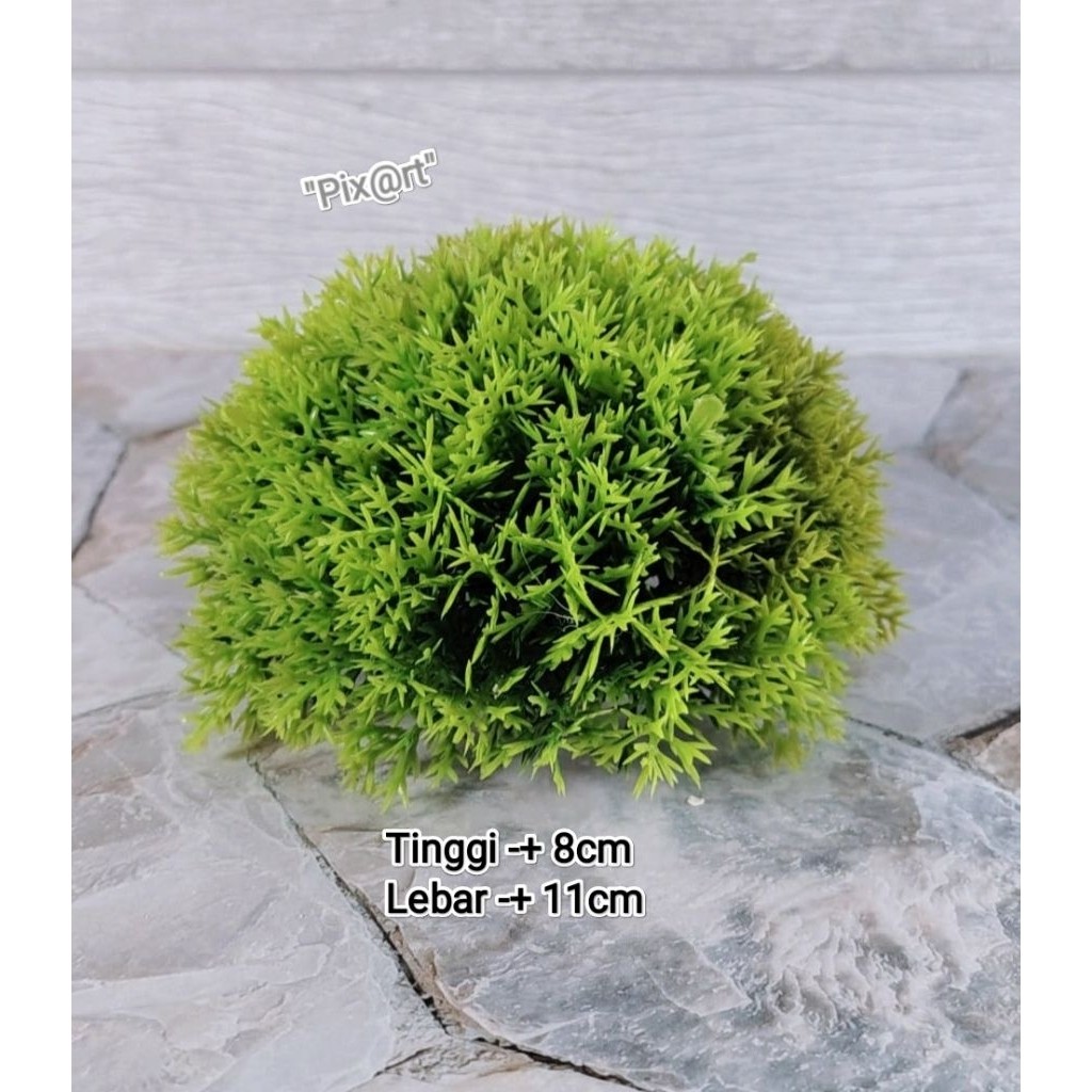 Tanaman rumput bulat hiasan aquarium/hiasan aquarium/rumput dasar aquarium/bunga rumput aquarium/war