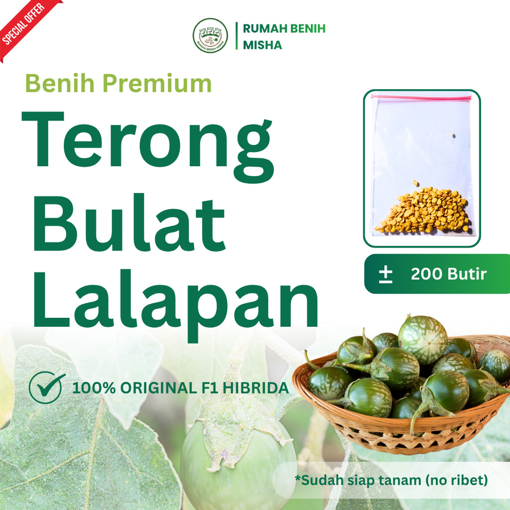 Benih Terong Lalapan  F1 Hibrida Isi 200 Butir Repack – Kualitas Premium