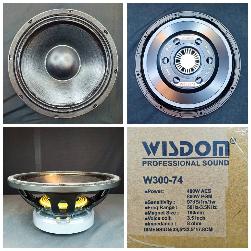 Speaker Component Wisdom W300 74 Original/ W300-74/W 300 74