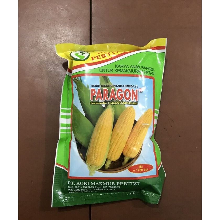 Benih Jagung Manis Paragon