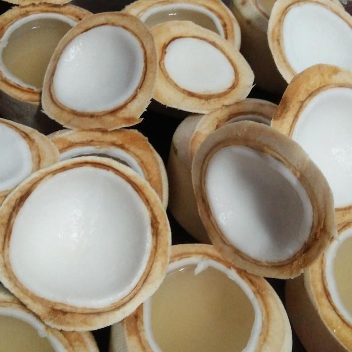 Puding Kelapa muda batok - Mix Alpukat