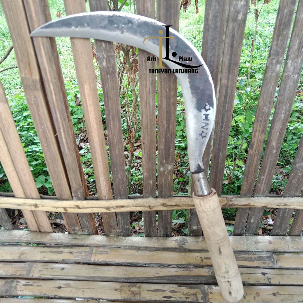 Arit Khusus Kayu Ukuran 46 Cm/Sabit Rumput Full Baja/Arit Rumput Panjang Baja Asli/Sabit Rumput