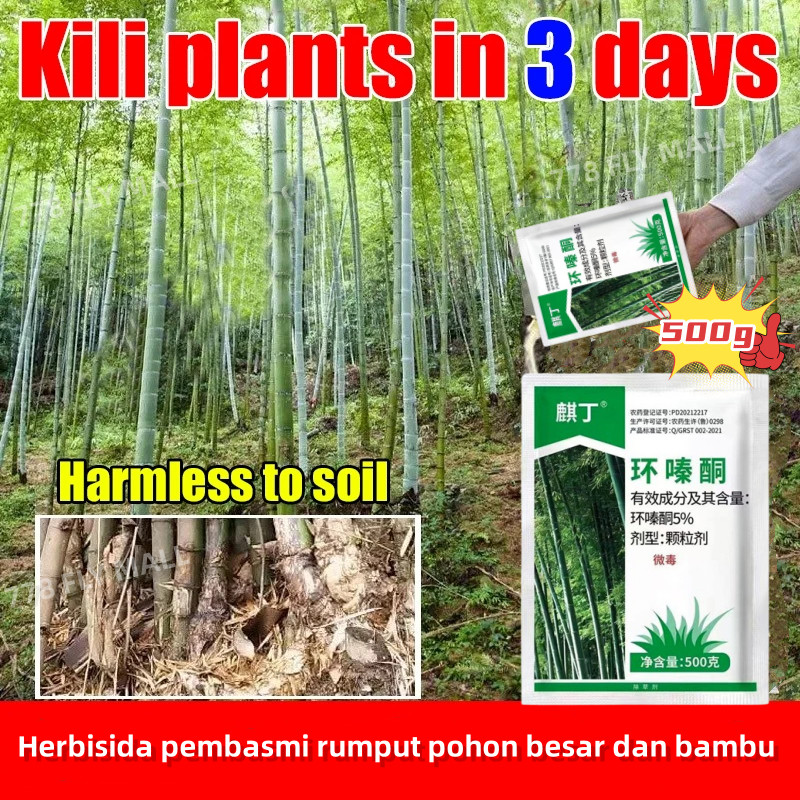 (linnea84) racun bambu paling ampuh original racun pohon besar obat pembasmi bambu herbisida pembasm