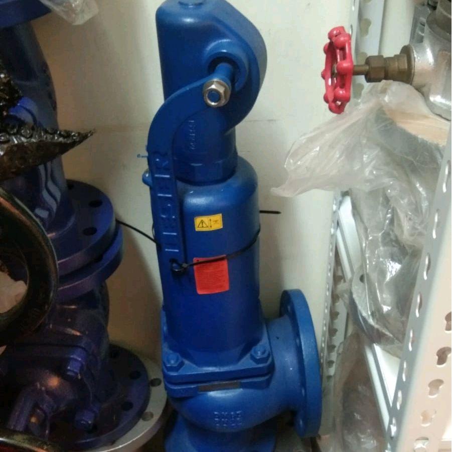 Safety Valve Leser PN16 Dn100 x DN150 ( 4" x 6" )