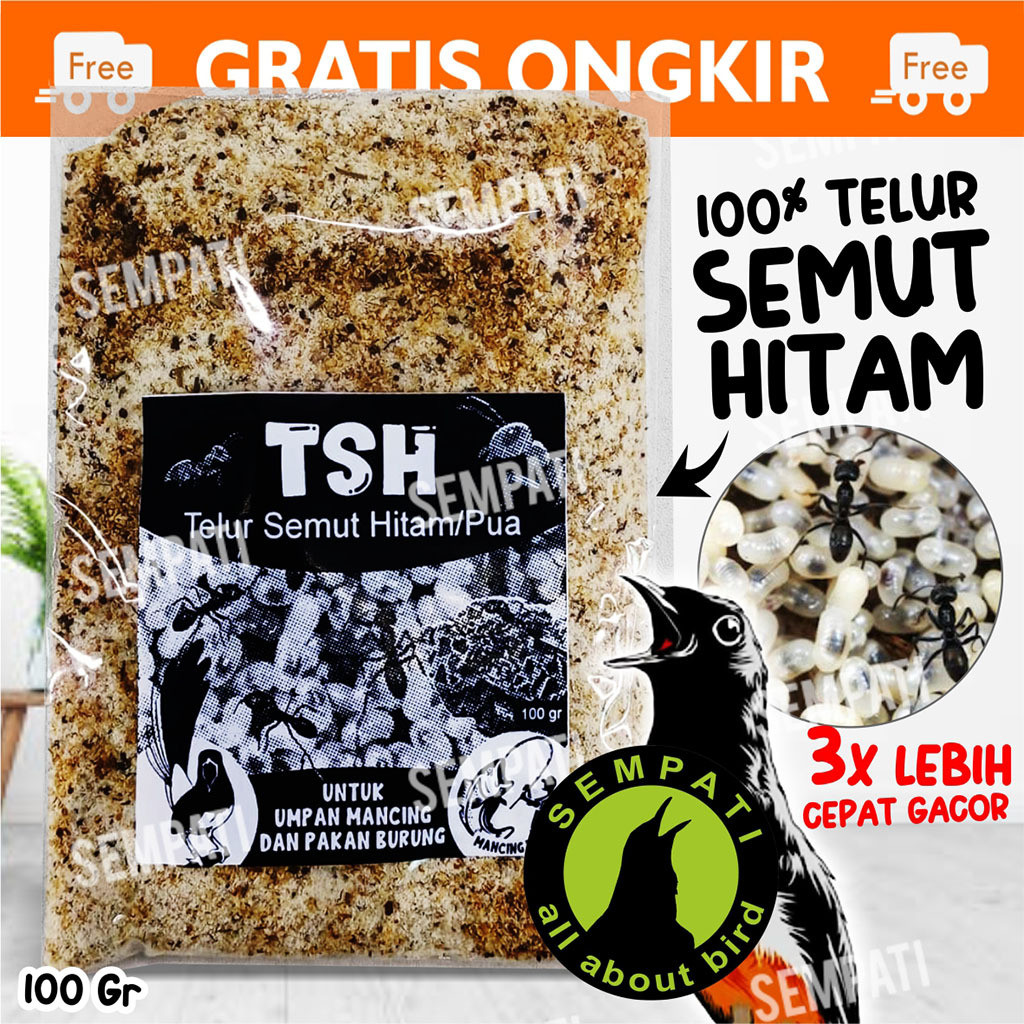 SEMPATI TSH Telur Semut Hitam Pakan Burung Serbuk Telur Pua Poa Pengganti Kroto Pakan Makanan Burung
