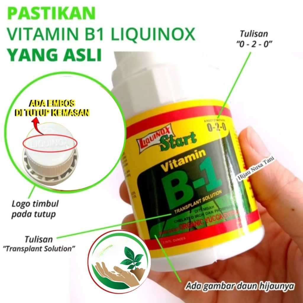 Pupuk Vitamin B1 Tanaman 100ML Liquinox Original Anti Stres Tanaman dijamin ori kemasan asli pabrik