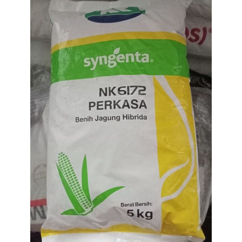 Benih Jagung Hibrida NK 6172 Perkasa 5Kg - Cap Syngenta