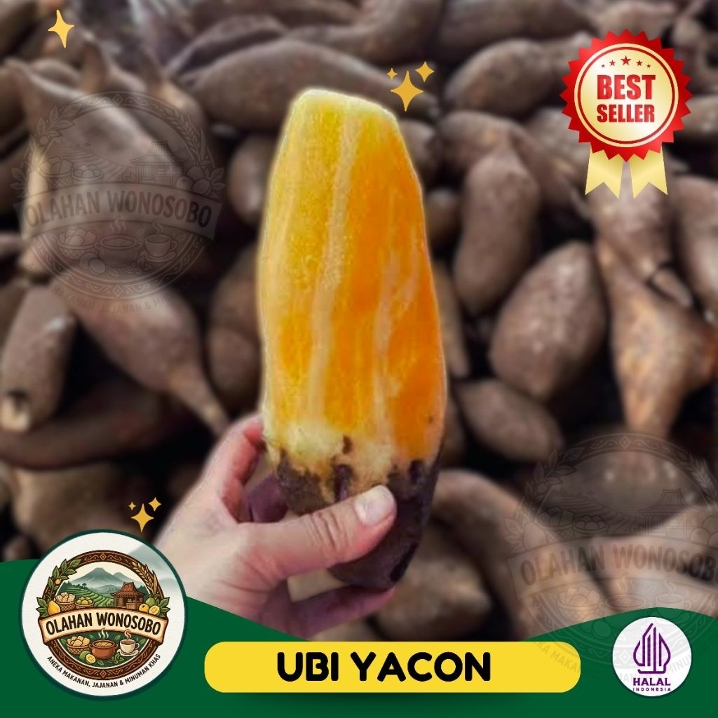 KMT - Ubi Yakon 1/2 Kg Segar Kriuk Tanpa Direbus | 500gram | Ubi Khas Wonosobo | Ubi Yacon | ubi yak
