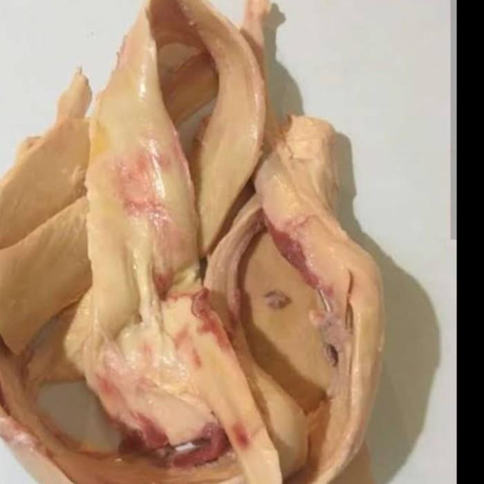 Urat Sengkel Daging sapi segar 1 kg