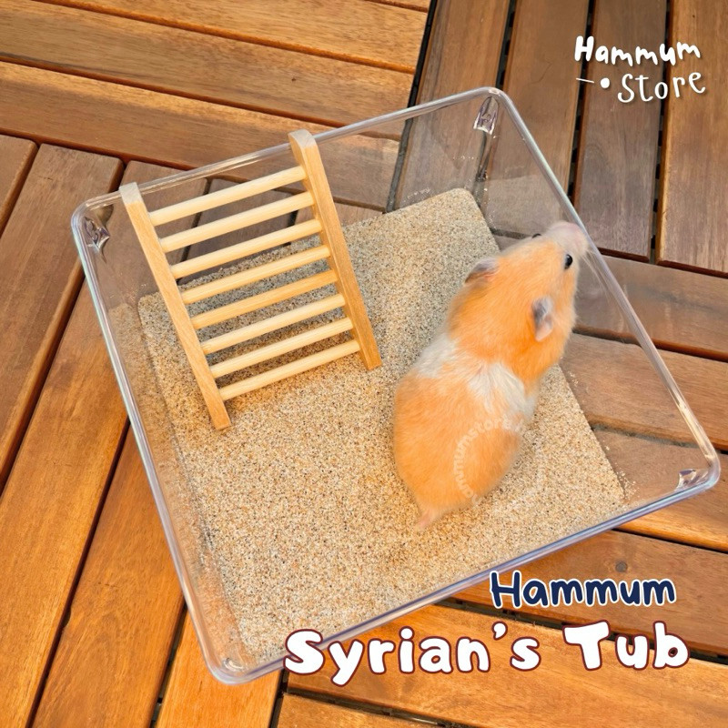 TERLARIS TOILET SYRIAN — Toilet Hamster Syrian | Tempat Mandi Hamster Syrian | Pasir Mandi Hamster S