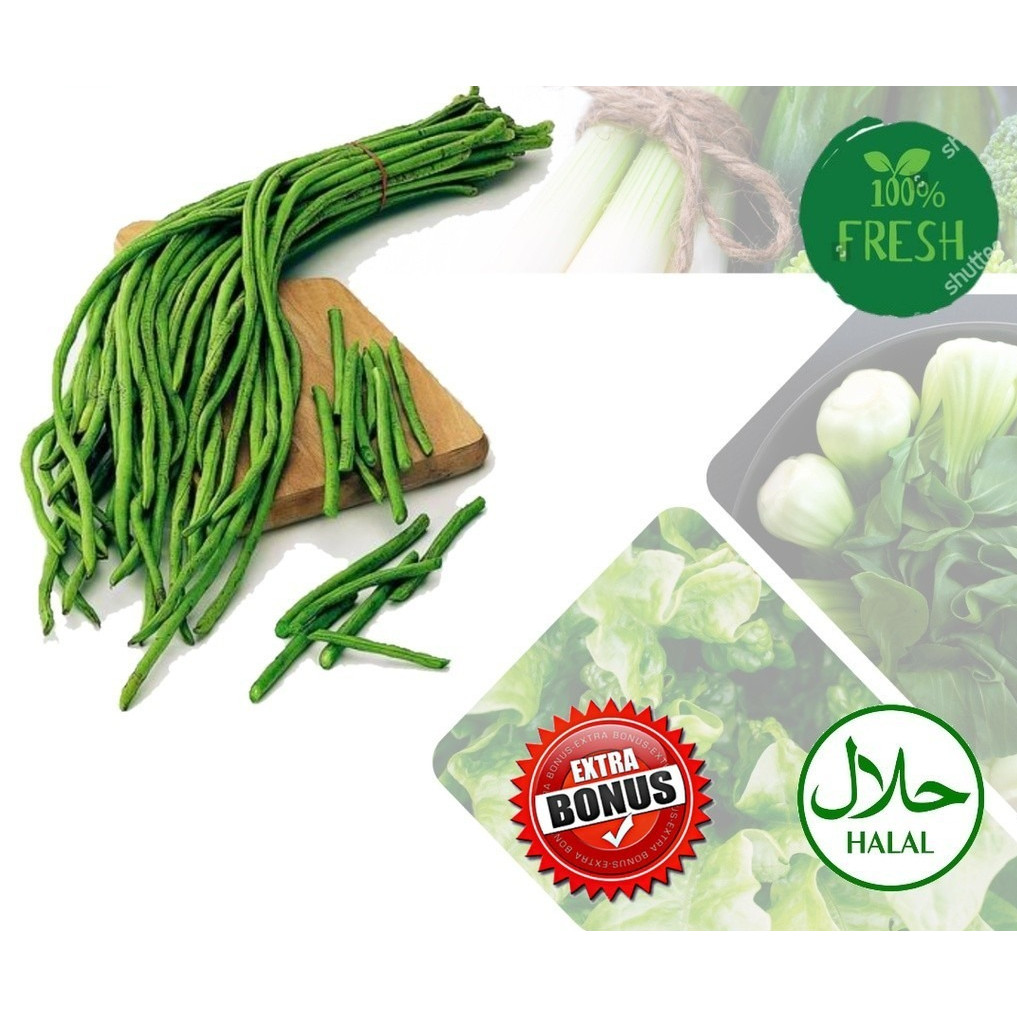 Kacang Panjang Segar Sayur 1 Ikat instant Bandar lampung