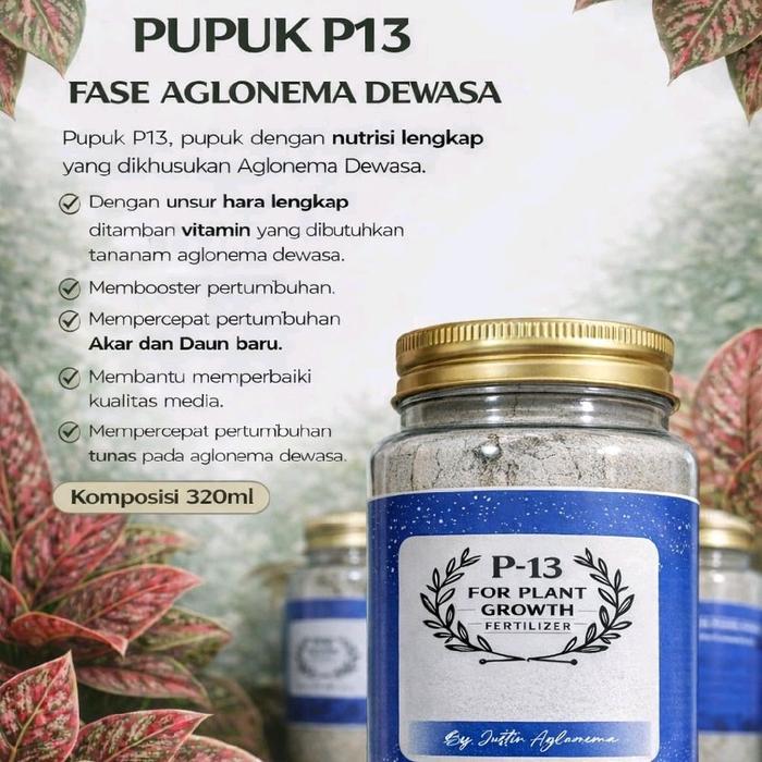 Pupuk P13 Om Justin Untuk Aglonema Dewasa 320ml