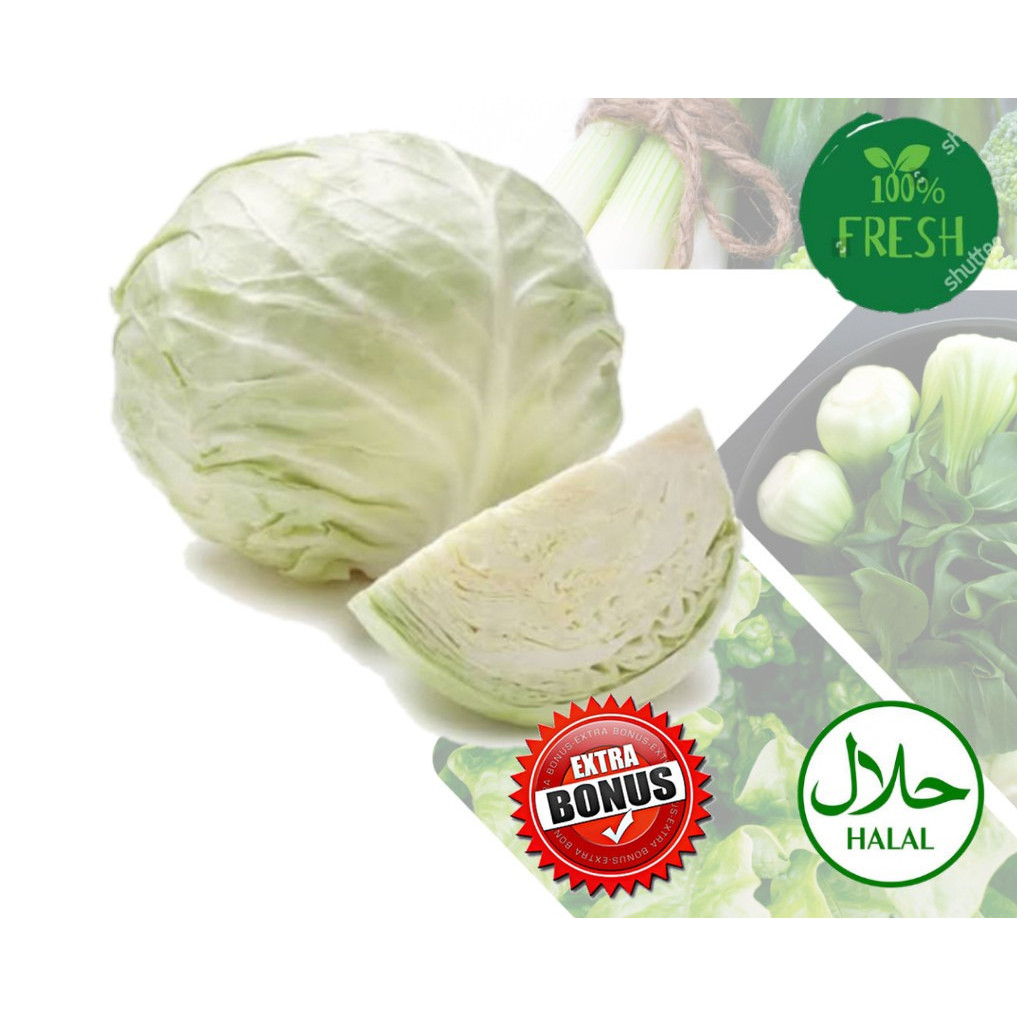 Kol Segar Sayur Sayuran 1 Kg instant lampung