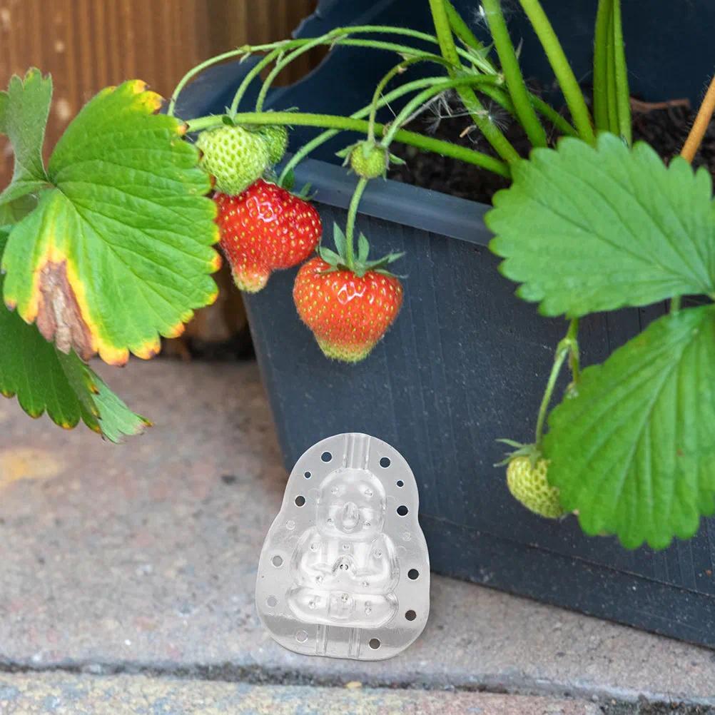 2Pcs Clear Plastic Fruit Shaping Molds Buddha Geng Pear Peach Watermelon Garden Growing Tools Cucumb