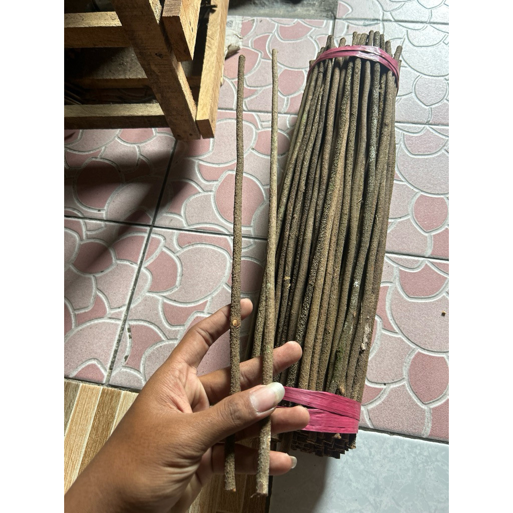 Tangkringan Asem Bali asli 1Pcs Ukuran Cucak Ijo terlaris