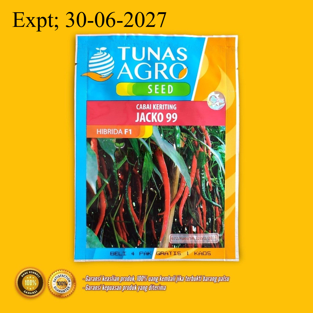 BENIH CABAI KERITING - JACKO 99 - 10 gram - Tunas Agro Seed - verywell tm 999 rimbun or twist 42
