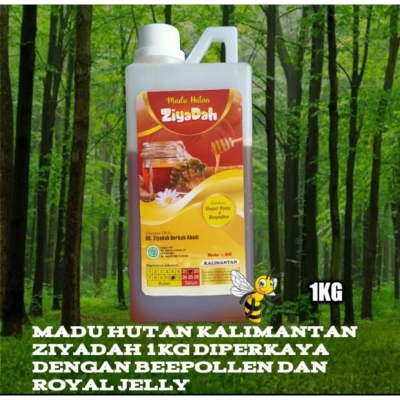 madu hutan kalimantan ziyadah 1kg original