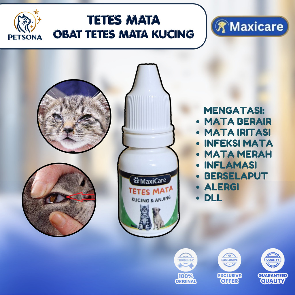 PS Maxicare TETES MATA 10ML Obat Tetes Sakit Mata Kucing Belekan Berair Bengkak Berselaput