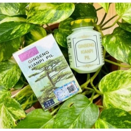 ORIGINAL DAN SUDAH BPOM GINSENG KIANPI MEGAOLSHOPP / GINSENG KIANPI PIL / OBAT NAFSU MAKAN Original 
